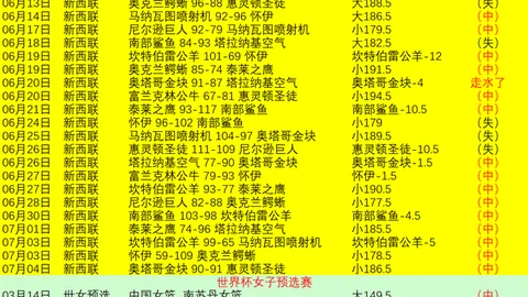 2026夏季联赛大：尼克斯独占鳌头，独行侠临界突破