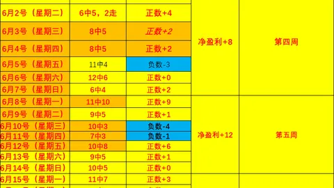 澳超焦点解析：韦斯顿劳动熊对墨尔本城对决，赛果速递